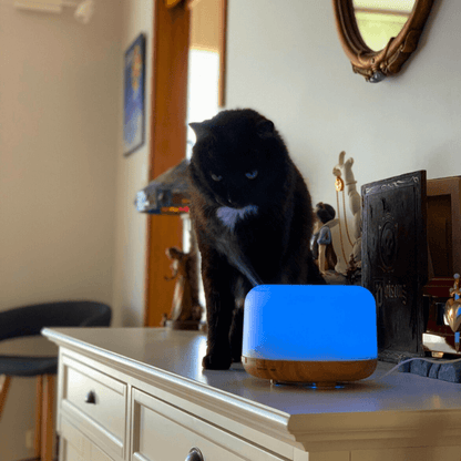 PuraGlow™ Aromatherapy LED Oil Diffuser